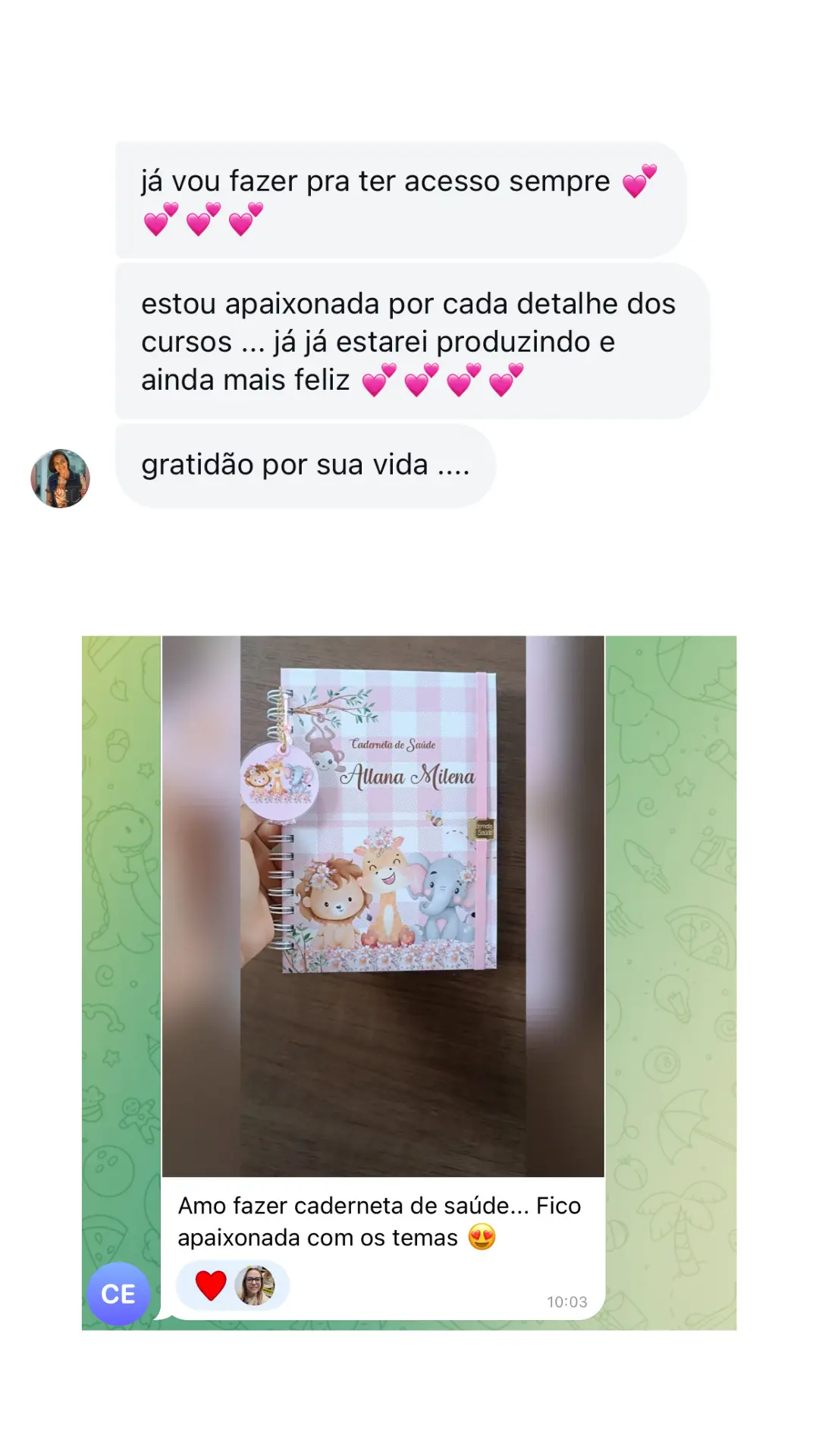 Depoimento de aluna Vlinder