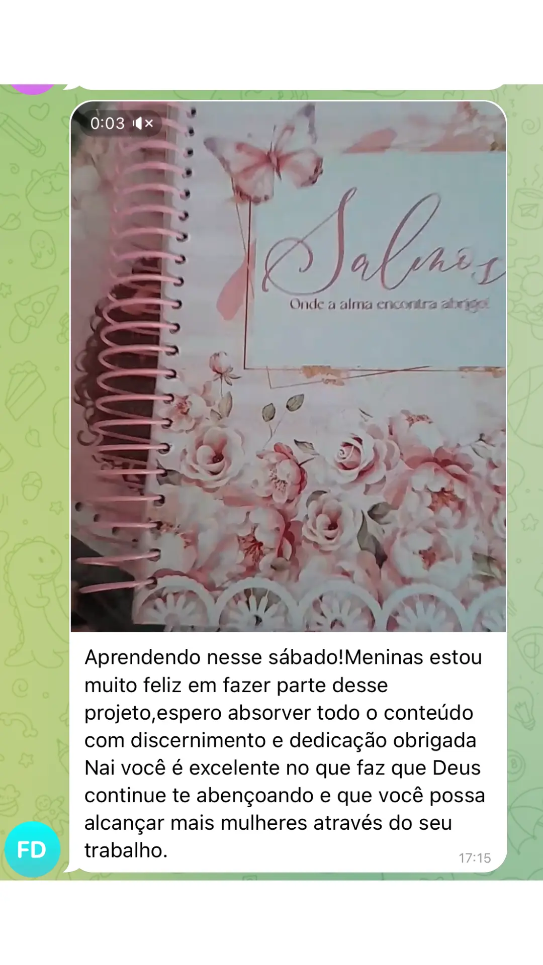 Depoimento de aluna Vlinder