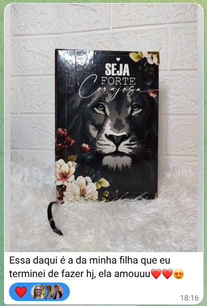 Captura de tela 2025-04-29 145521