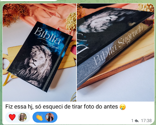 Captura de tela 2025-04-29 145558